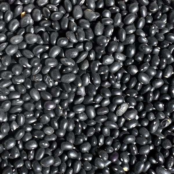 Black Bean 黑豆
