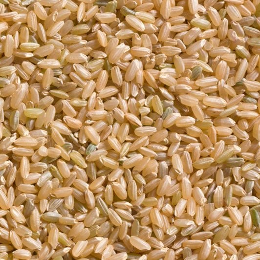 Brown Rice 糙米