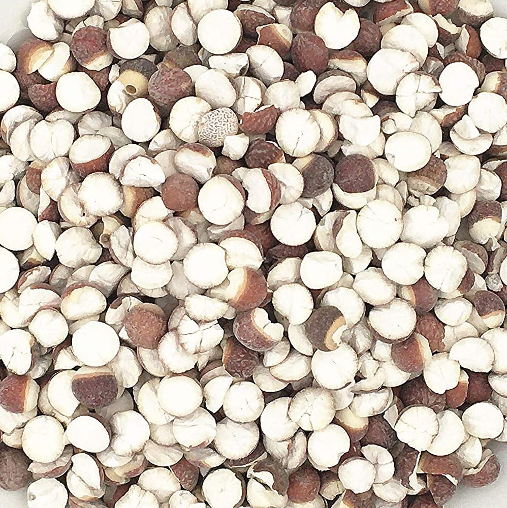 Euryales Seed 芡实